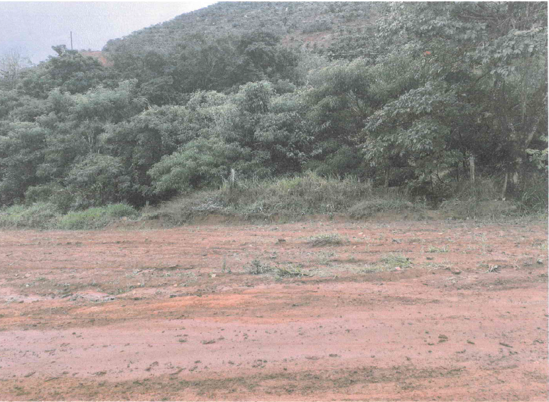 3 terrenos em Carangola/MG, tendo, respe, localizado em Carangola - MG