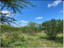 Terreno com 1.470 m² no Conjunto Lauro M, localizado em Campo Redondo - RN