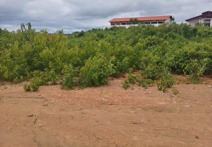 Lote com aprox. 930,96m², situado à Rua, localizado em Teixeira - PB